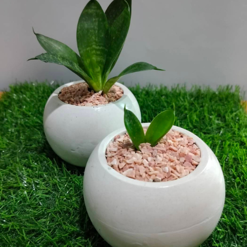 กระถางต้นไม้ทรงใหม่ by ecoCrafted กระถางต้นไม้ทรงใหม่ by ecoCrafted